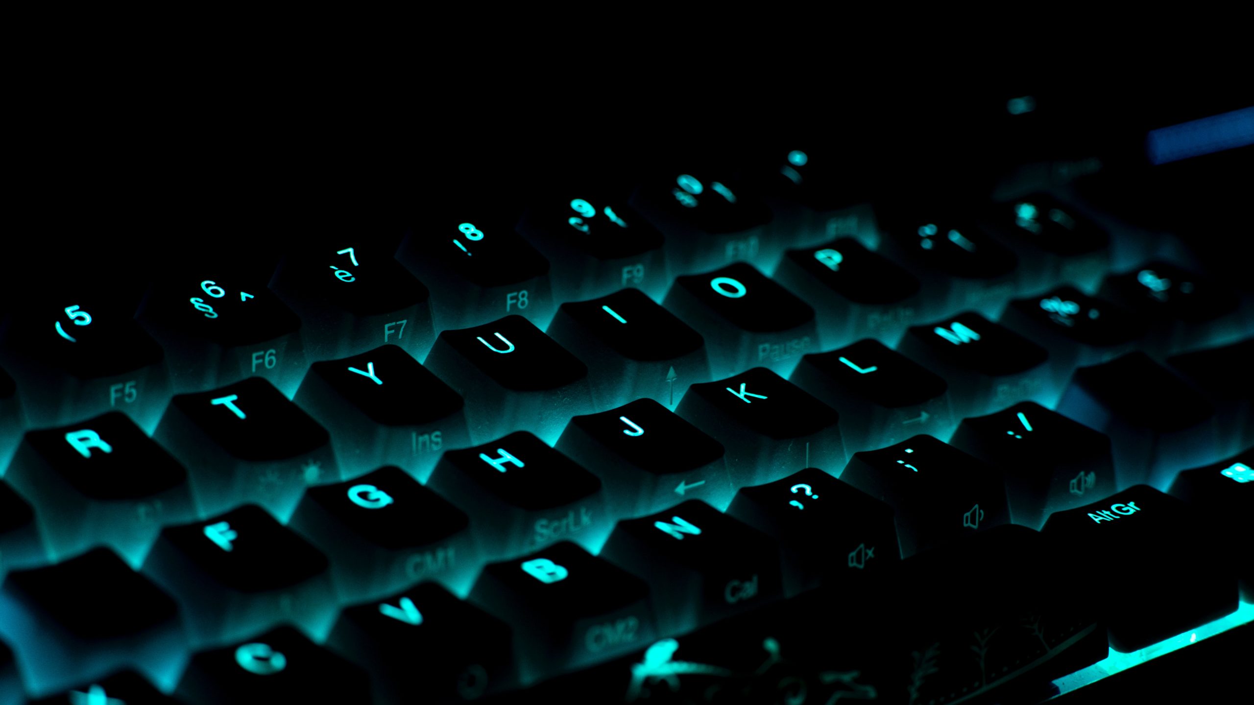 ¿Qué son los CMS no code?