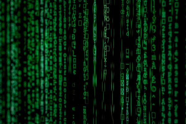 wp2shell: dos CVE y cero contraseñas para hackear tu WordPress